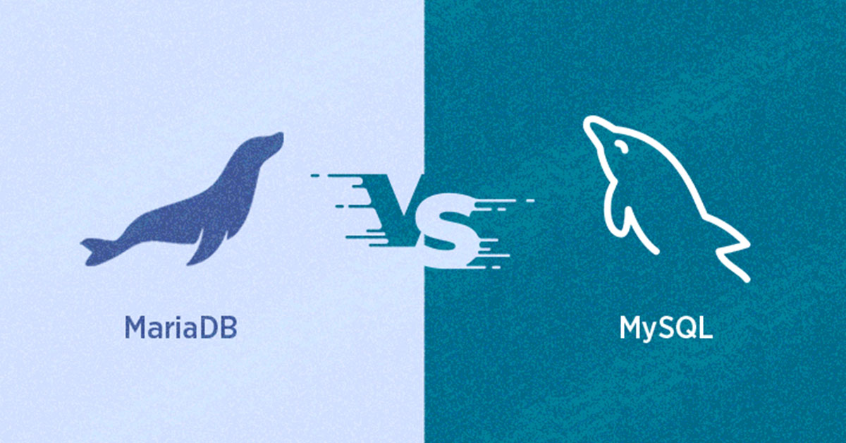 Key Differences & All You Need To Know