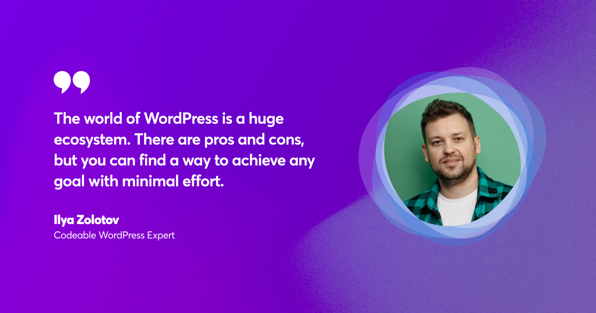 Insights from Interview With WordPress Expert Ilya Zolotov